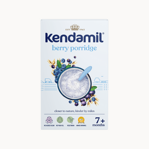 Berry Baby Porridge